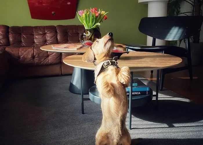 فندق Just Eleven